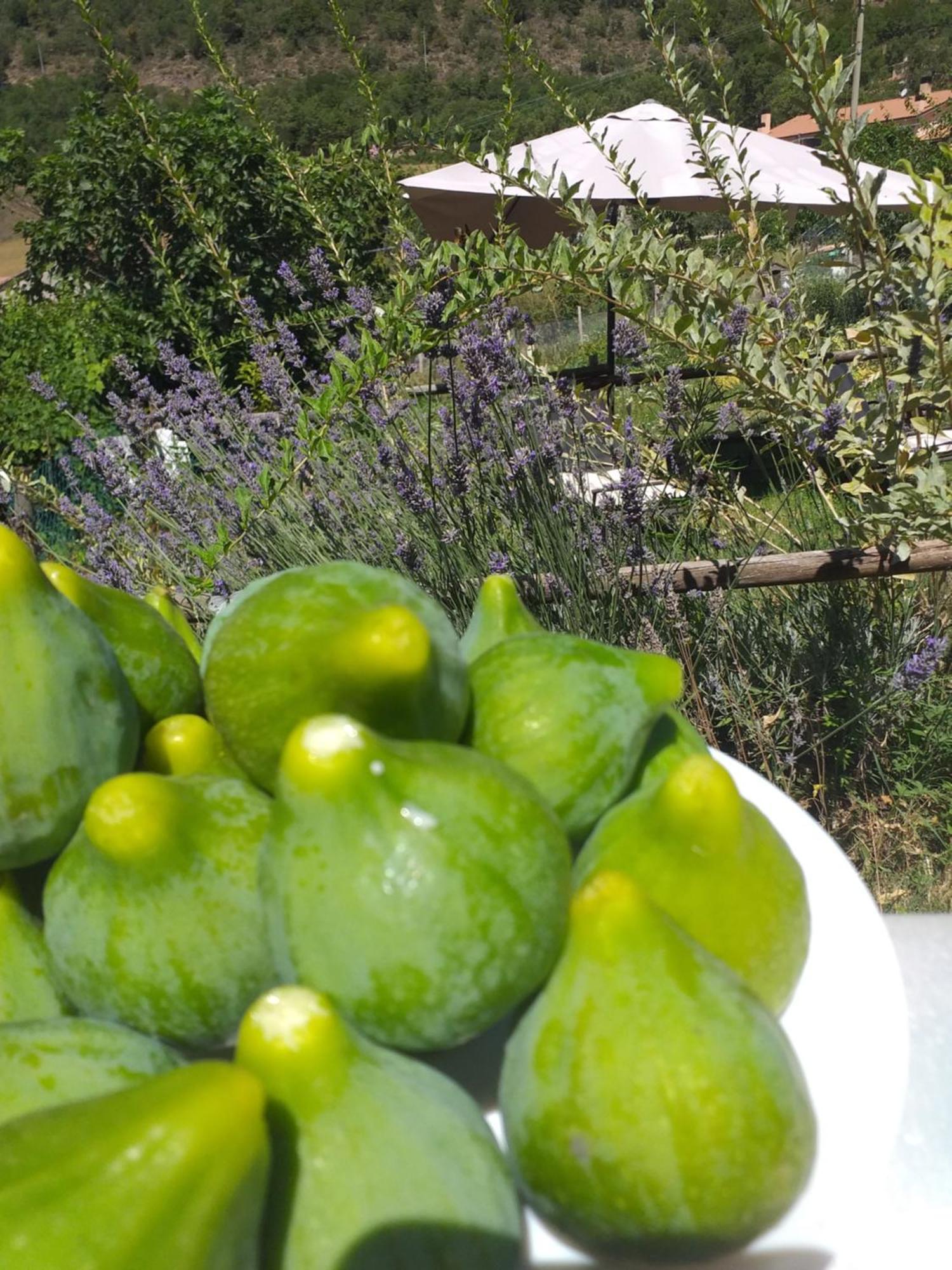 Agriturismo Campagna In Compagnia Vallo di Nera Eksteriør bilde