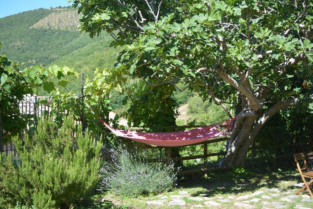 Agriturismo Campagna In Compagnia Vallo di Nera Eksteriør bilde