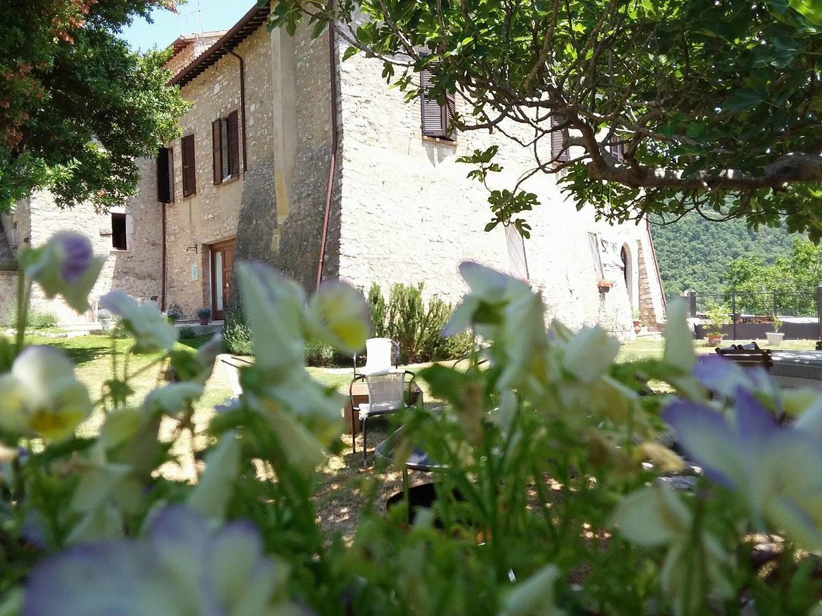 Agriturismo Campagna In Compagnia Vallo di Nera Eksteriør bilde