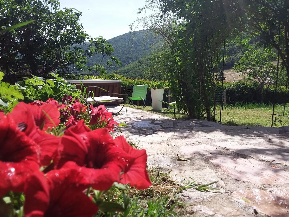 Agriturismo Campagna In Compagnia Vallo di Nera Eksteriør bilde